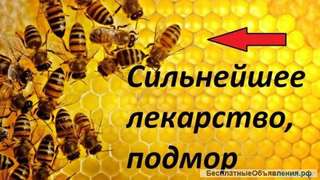 Пчелинный подмор. Настоянный т. 8 902 755 3423